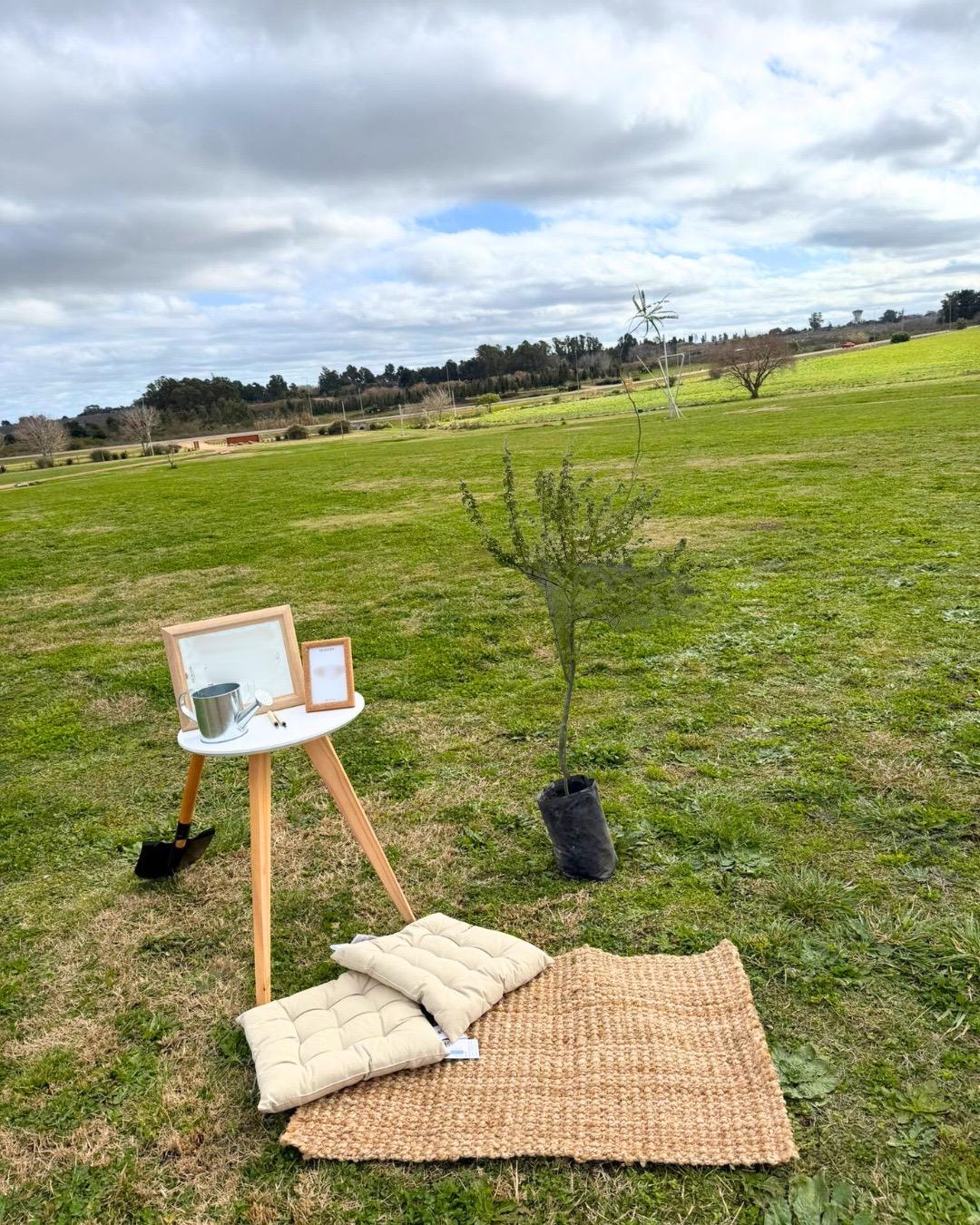 Árbol en homenaje en Jardín Memorial Los Olivos
